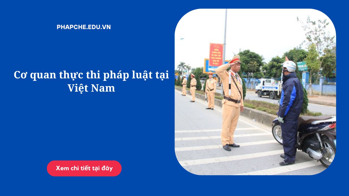 Cơ quan thực thi pháp luật tại Việt Nam