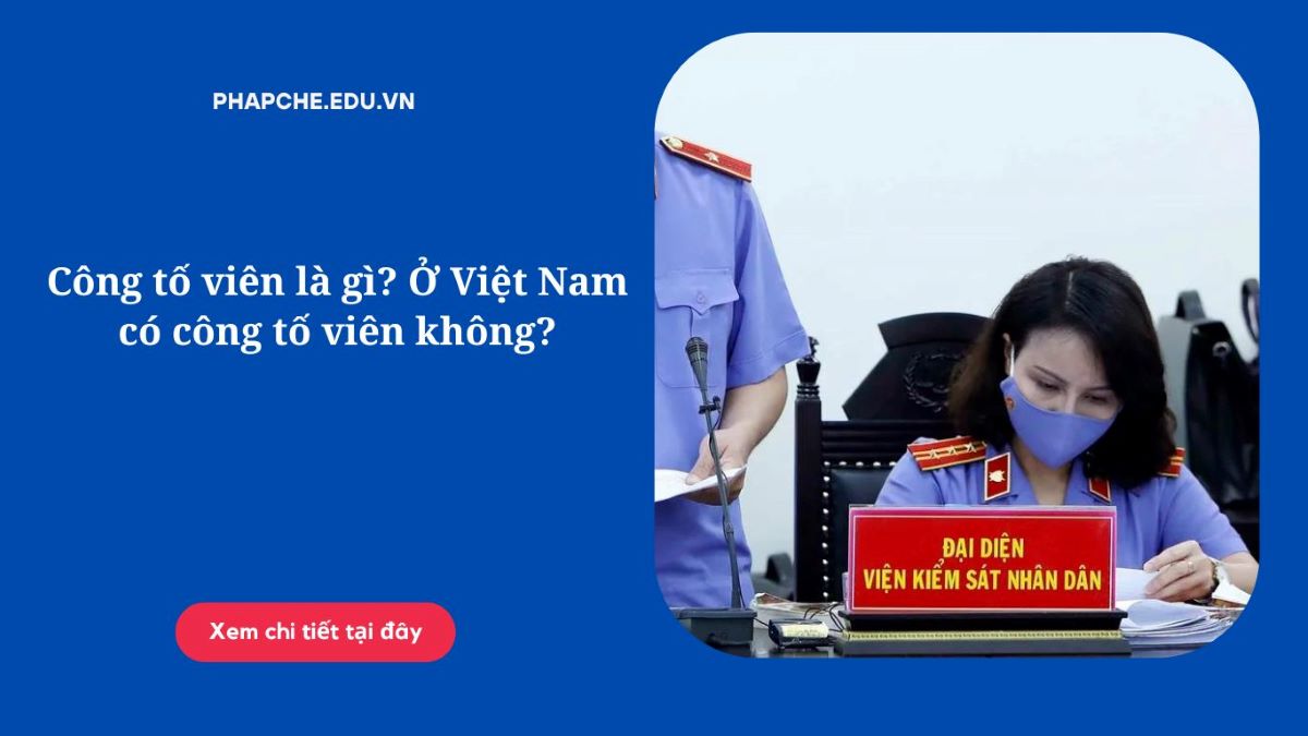 Công tố viên là gì? Ở Việt Nam có công tố viên không?