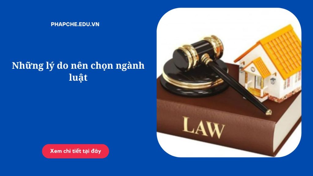 Những lý do nên chọn ngành luật