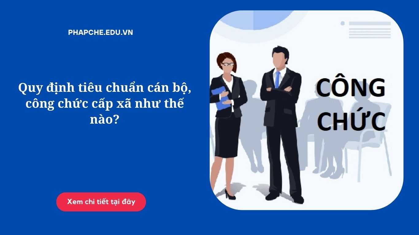 Quy định tiêu chuẩn cán bộ, công chức cấp xã như thế nào?