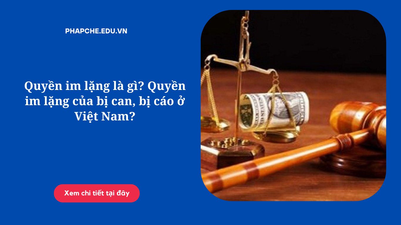 Quyền im lặng là gì Quyền im lặng của bị can, bị cáo ở Việt Nam