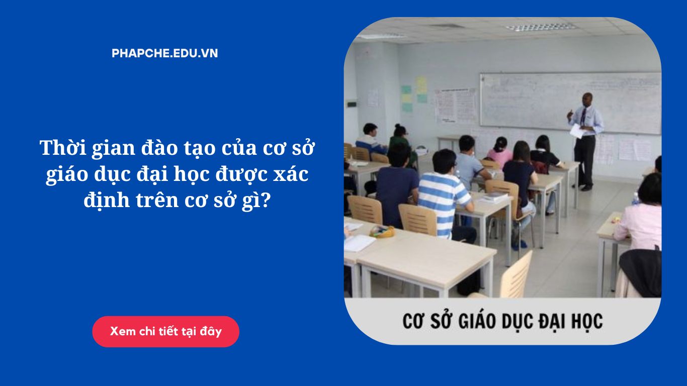 Thời gian đào tạo của cơ sở giáo dục đại học được xác định trên cơ sở gì?