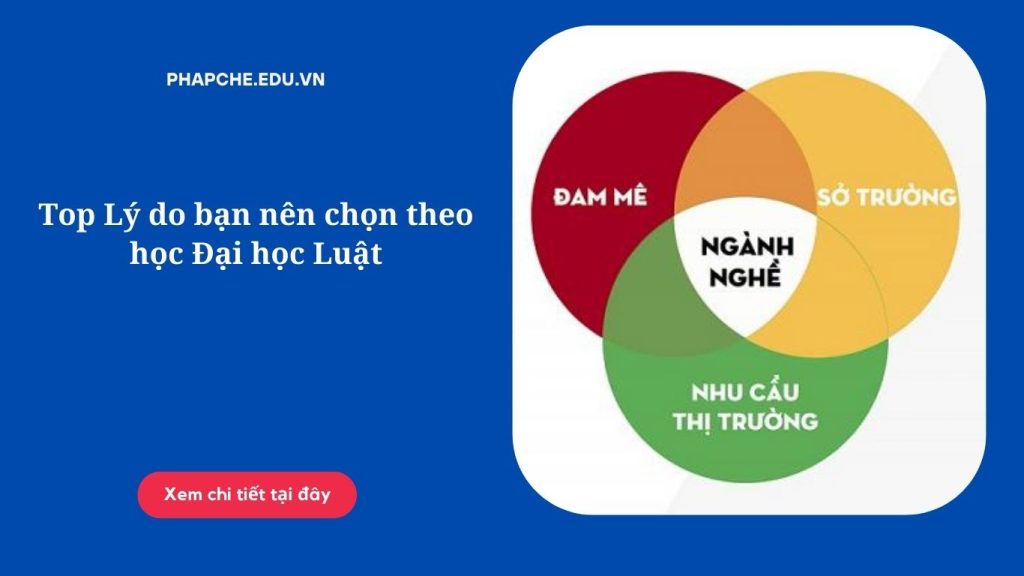 Top Lý do bạn nên chọn theo học Đại học Luật