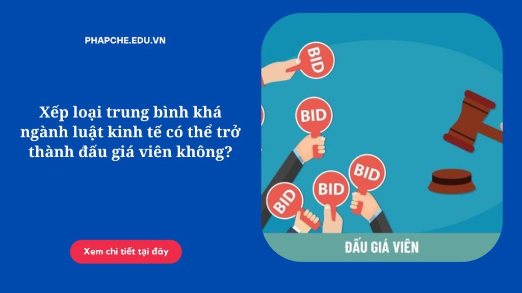 Xếp loại trung bình khá ngành luật kinh tế có thể trở thành đấu giá viên không?