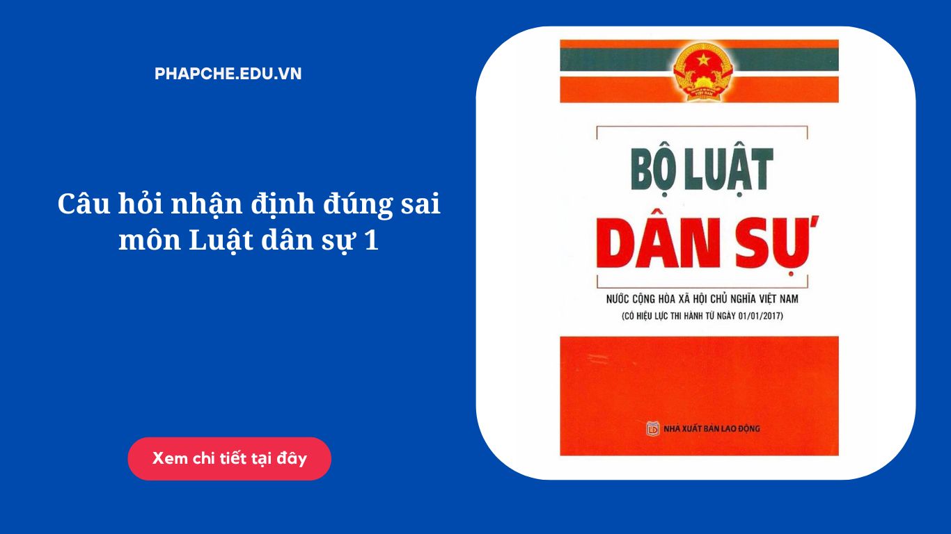 Câu hỏi nhận định đúng sai môn Luật dân sự 1