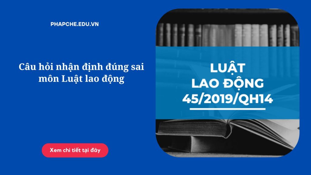 Câu hỏi nhận định đúng sai môn Luật lao động