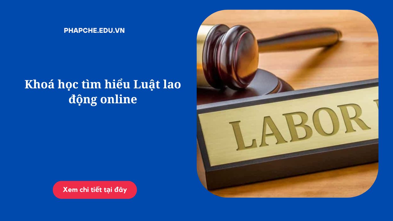 Khoá học tìm hiểu Luật lao động online