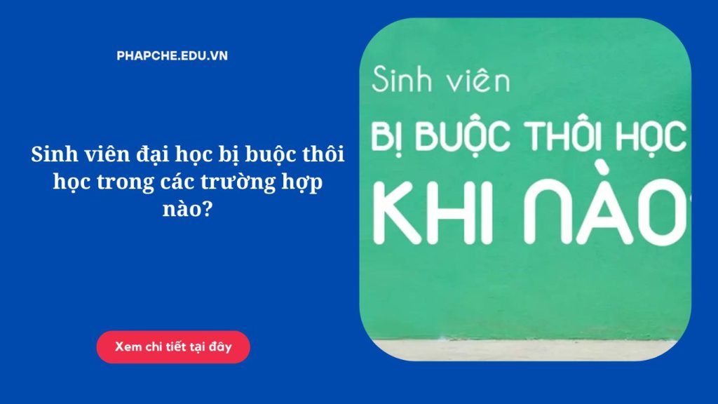 Sinh viên đại học bị buộc thôi học trong các trường hợp nào?