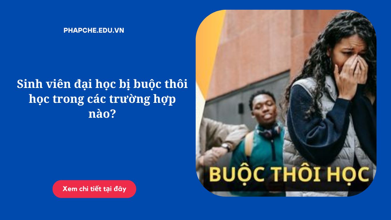 Sinh viên đại học bị buộc thôi học trong các trường hợp nào?