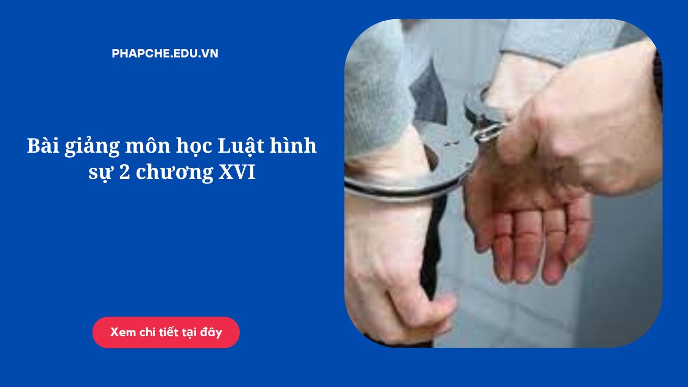 Bài giảng môn học Luật hình sự 2 chương XVI