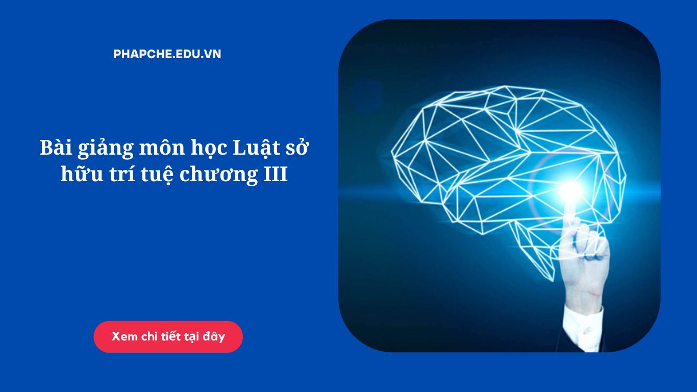 Bài giảng môn học Luật sở hữu trí tuệ chương III