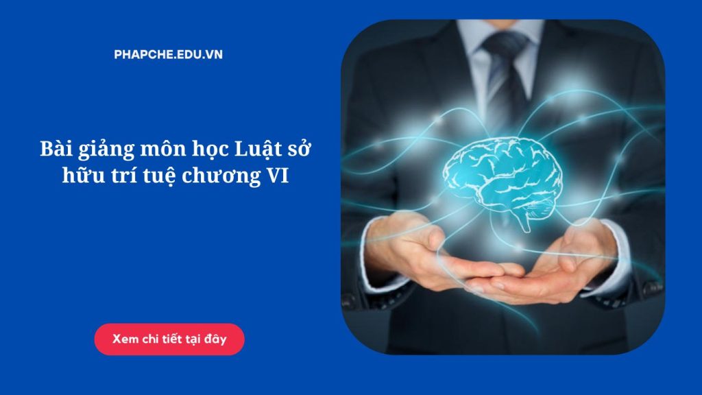 Bài giảng môn học Luật sở hữu trí tuệ chương VI