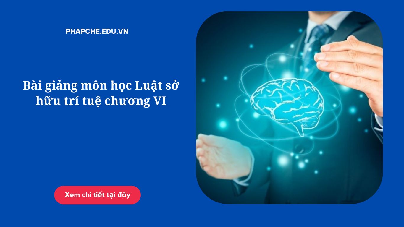 Bài giảng môn học Luật sở hữu trí tuệ chương VI