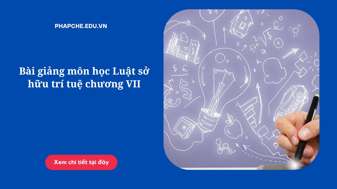 Bài giảng môn học Luật sở hữu trí tuệ chương VII