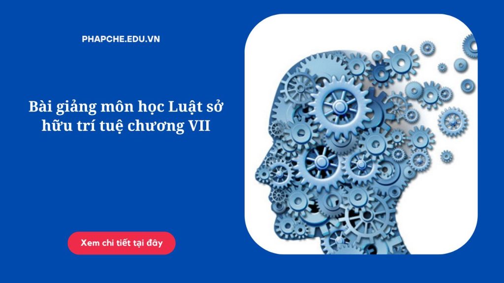 Bài giảng môn học Luật sở hữu trí tuệ chương VII