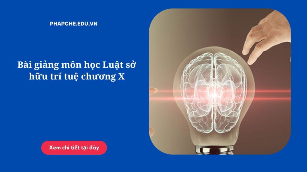 Bài giảng môn học Luật sở hữu trí tuệ chương X