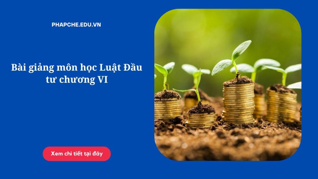 Bài giảng môn học Luật Đầu tư chương VI