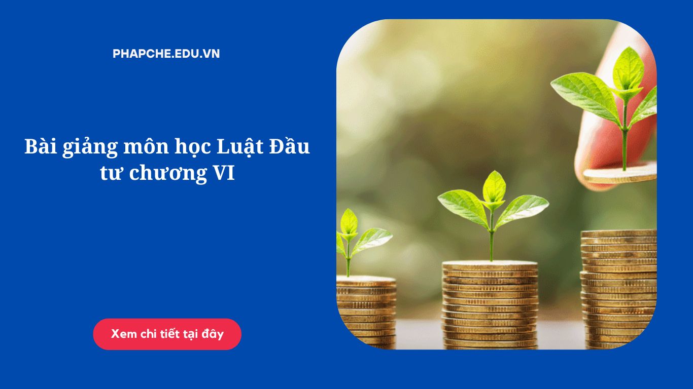 Bài giảng môn học Luật Đầu tư chương VI