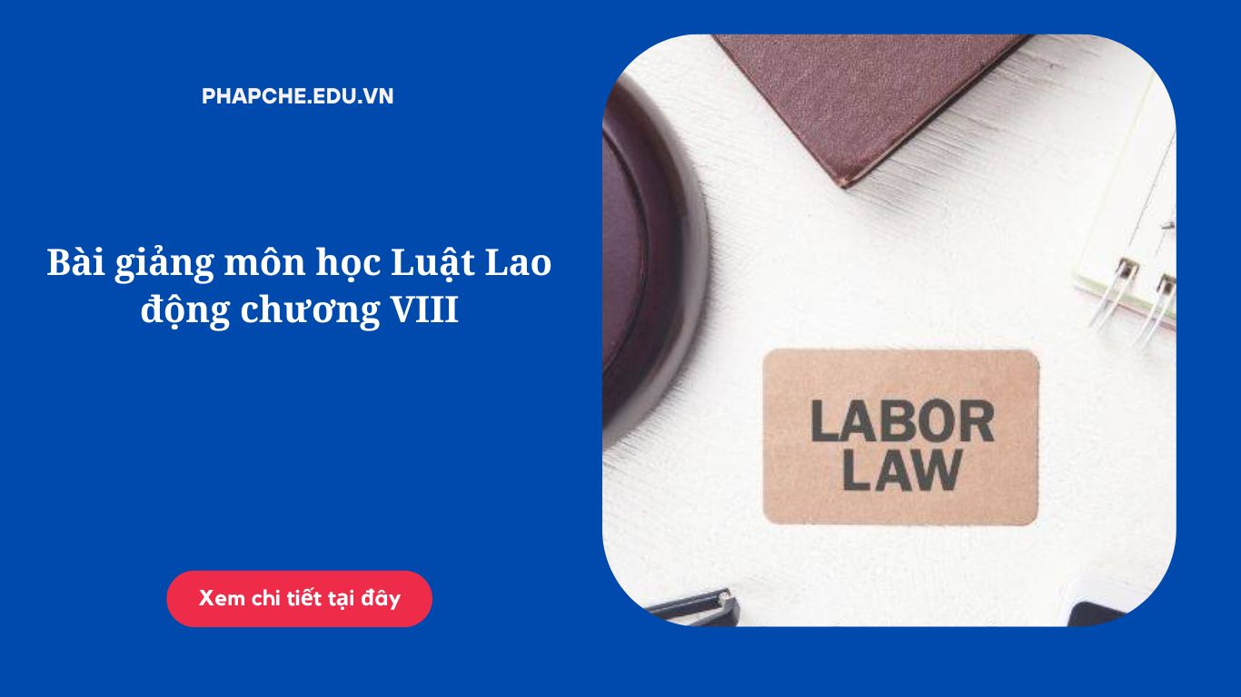 Bài giảng môn học Luật Lao động chương VIII