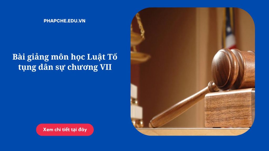 Bài giảng môn học Luật Tố tụng dân sự chương VII