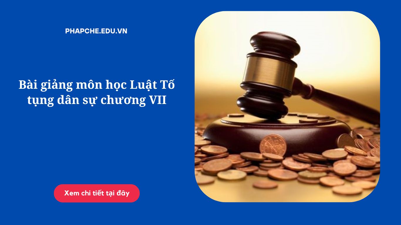 Bài giảng môn học Luật Tố tụng dân sự chương VI