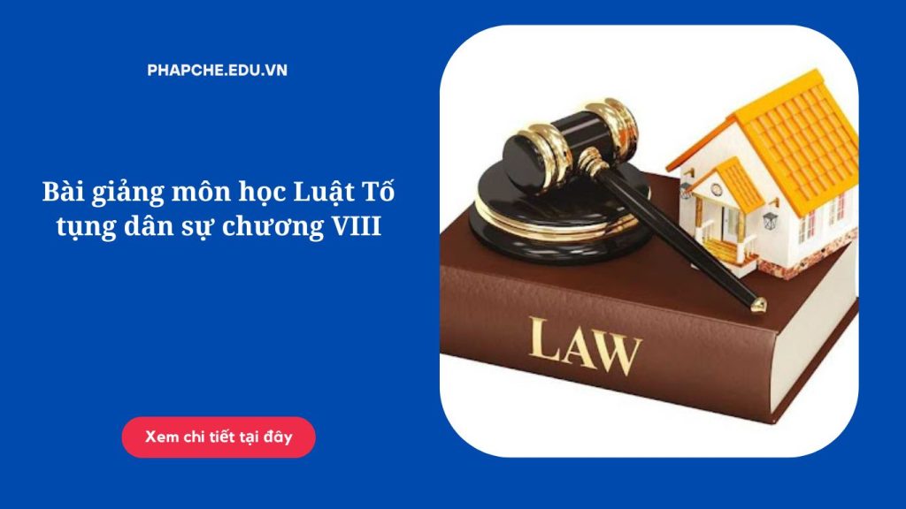 Bài giảng môn học Luật Tố tụng dân sự chương VIII