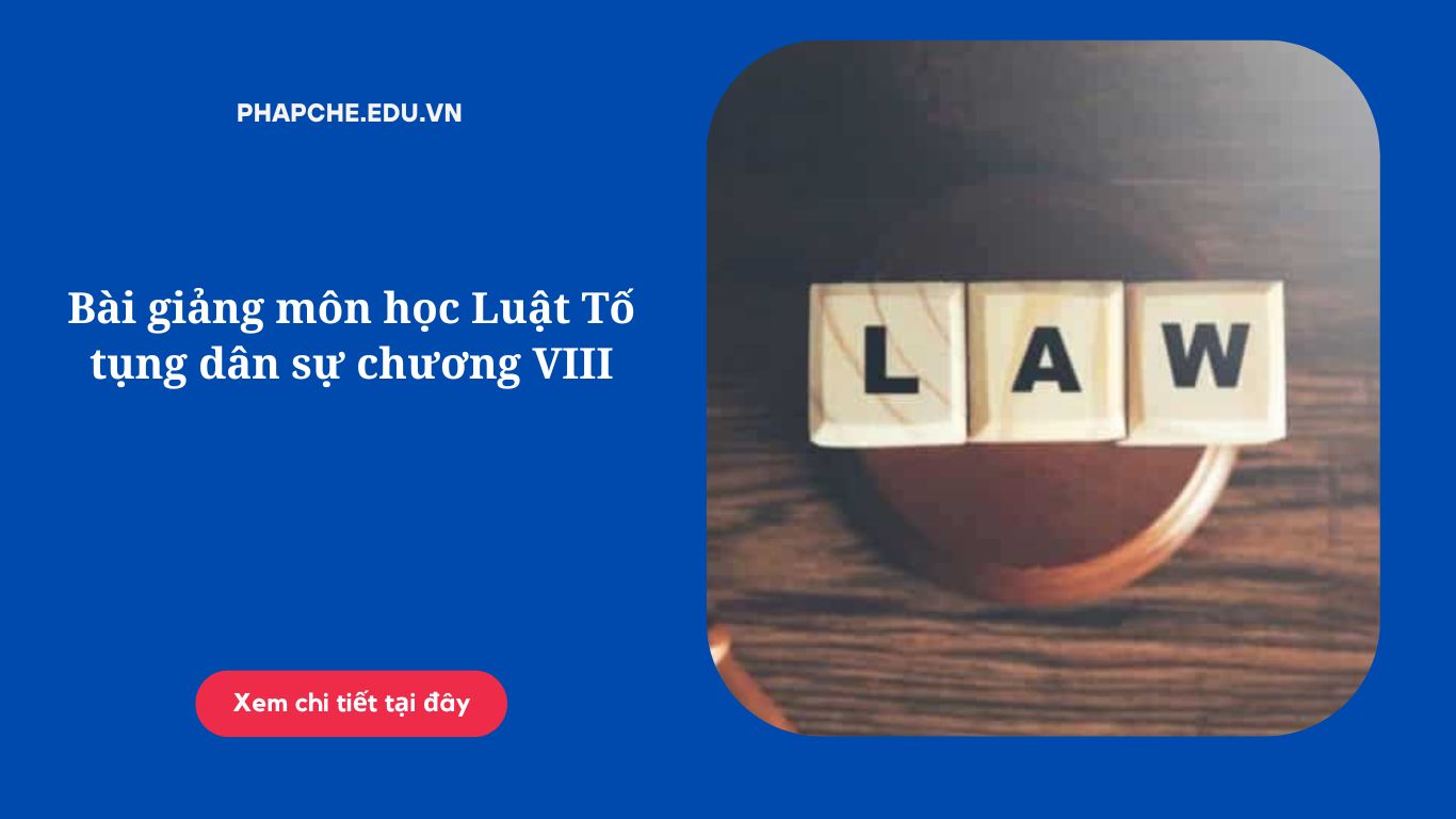 Bài giảng môn học Luật Tố tụng dân sự chương VIII