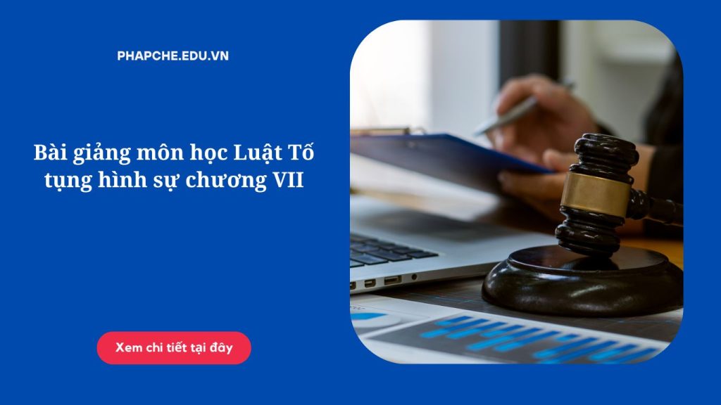 Bài giảng môn học Luật Tố tụng hình sự chương VII,