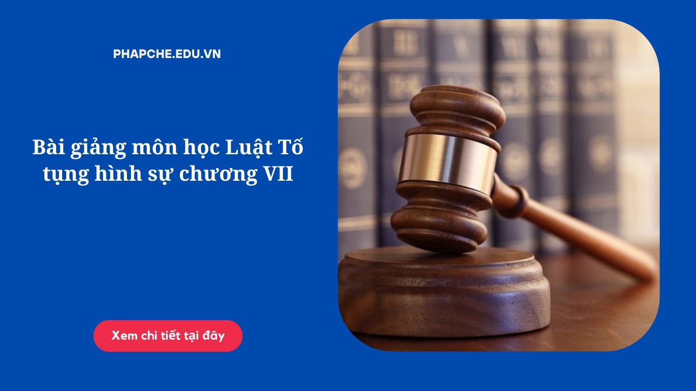 Bài giảng môn học Luật Tố tụng hình sự chương VII,