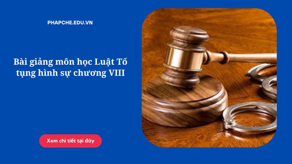 Bài giảng môn học Luật Tố tụng hình sự chương VIII