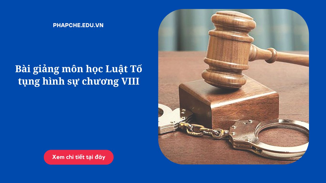 Bài giảng môn học Luật Tố tụng hình sự chương VIII