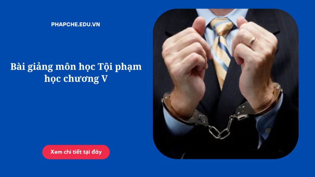 Bài giảng môn học Tội phạm học chương V