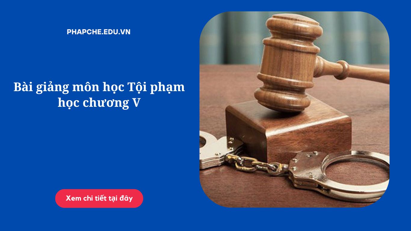 Bài giảng môn học Tội phạm học chương V