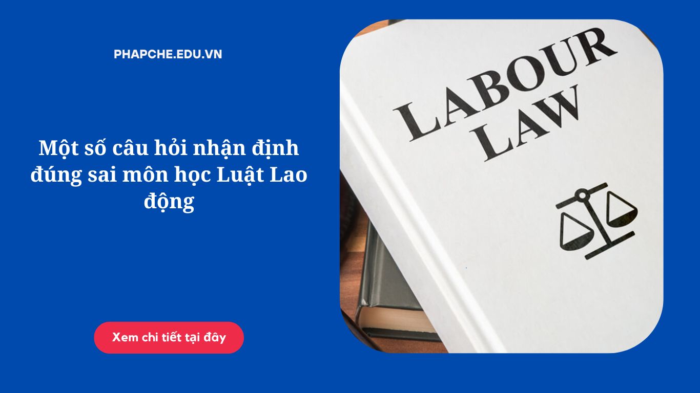 Một số câu hỏi nhận định đúng sai môn học Luật Lao động