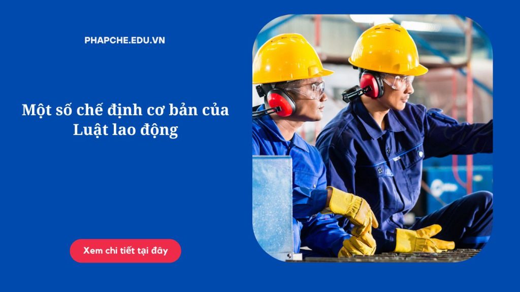 Một số chế định cơ bản của Luật lao động