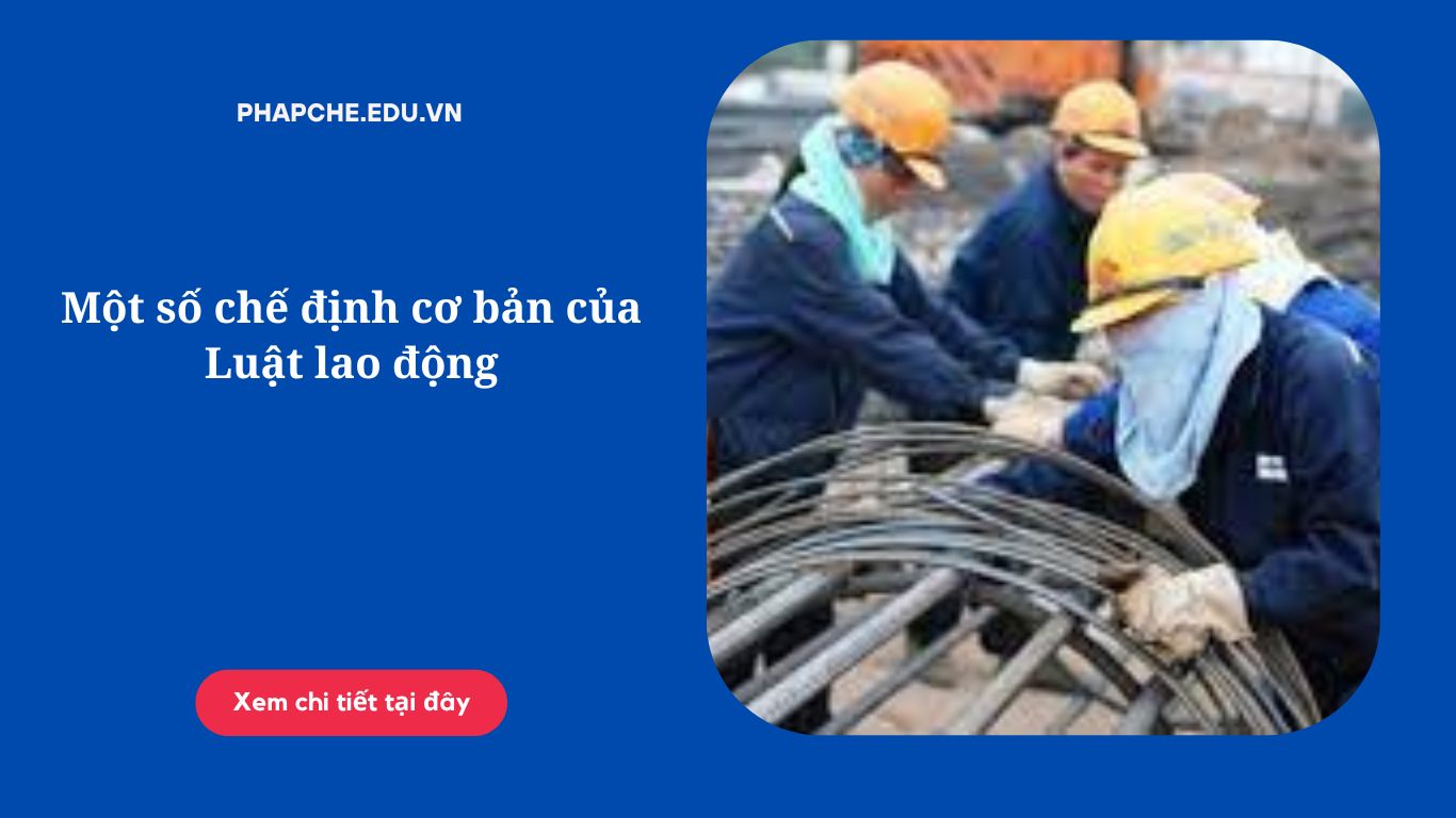 Một số chế định cơ bản của Luật lao động