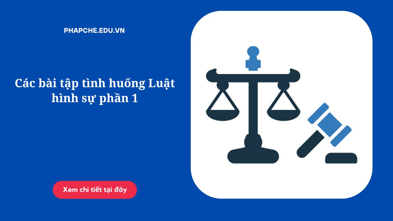 Các bài tập tình huống Luật hình sự phần 1