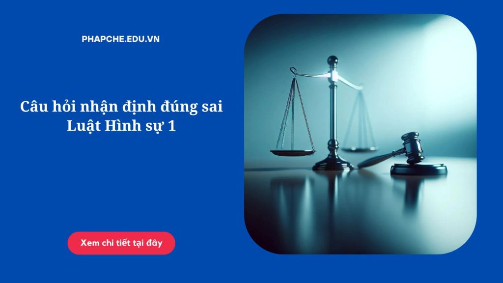 Câu hỏi nhận định đúng sai Luật Hình sự 1