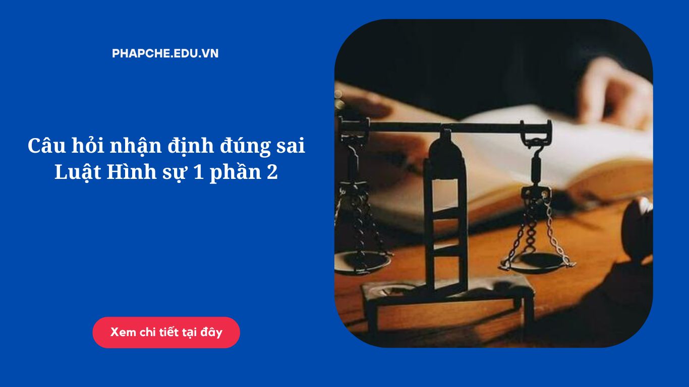 Câu hỏi nhận định đúng sai Luật Hình sự 1 phần 2