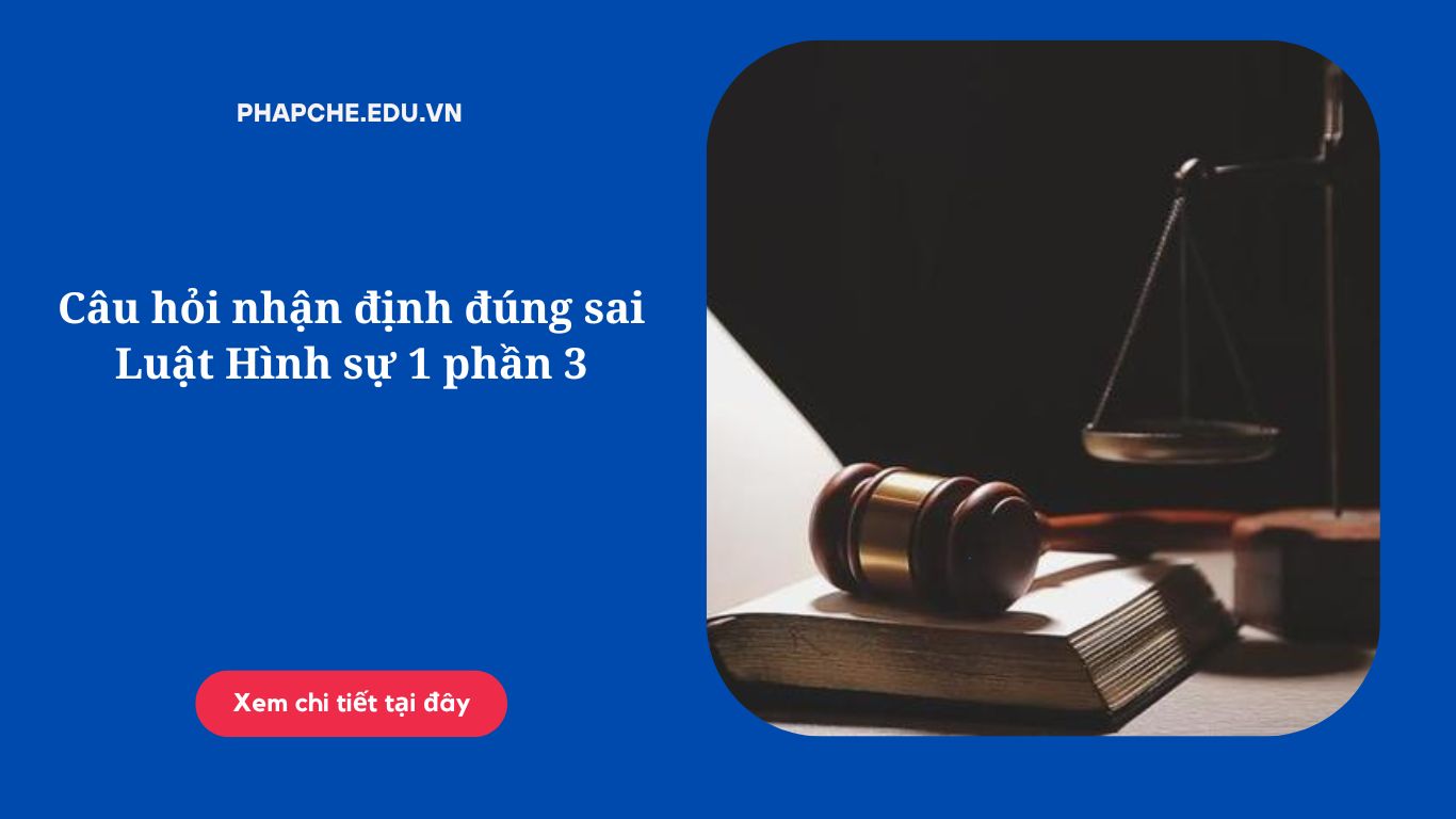 Câu hỏi nhận định đúng sai Luật Hình sự 1 phần 3