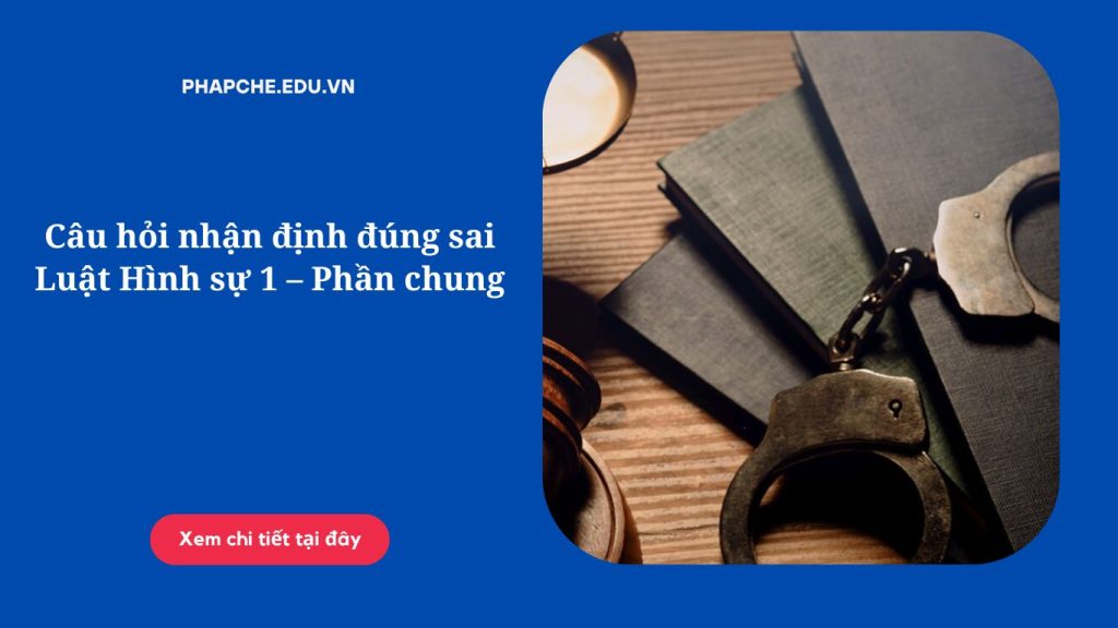 Câu hỏi nhận định đúng sai Luật Hình sự 1 – Phần chung