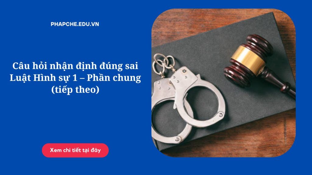 Câu hỏi nhận định đúng sai Luật Hình sự 1 – Phần chung (tiếp theo)