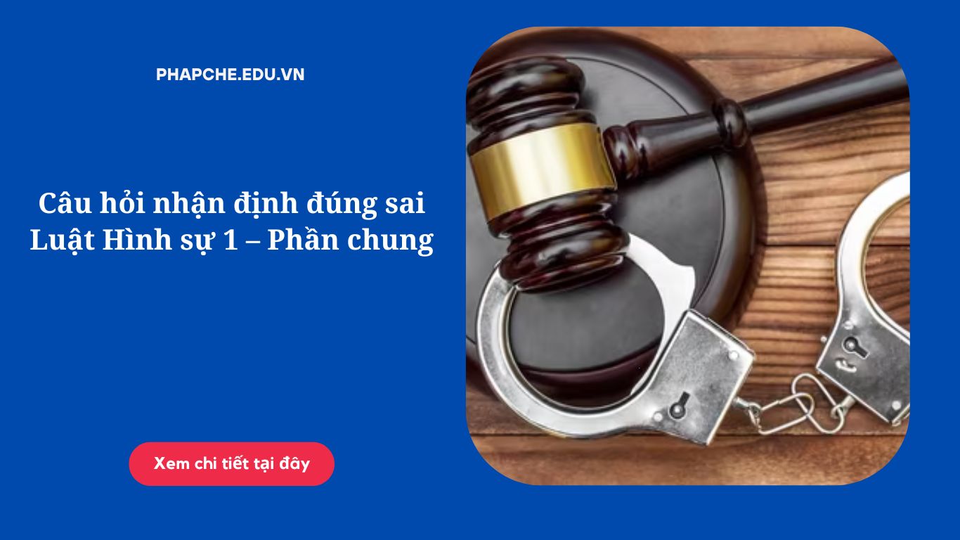 Câu hỏi nhận định đúng sai Luật Hình sự 1 – Phần chung