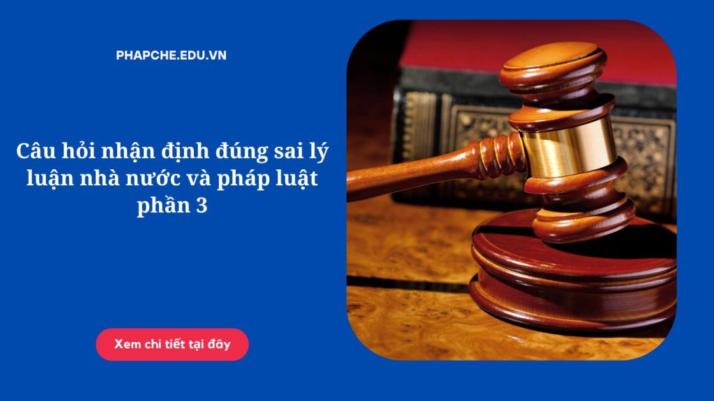 Câu hỏi nhận định đúng sai lý luận nhà nước và pháp luật phần 3