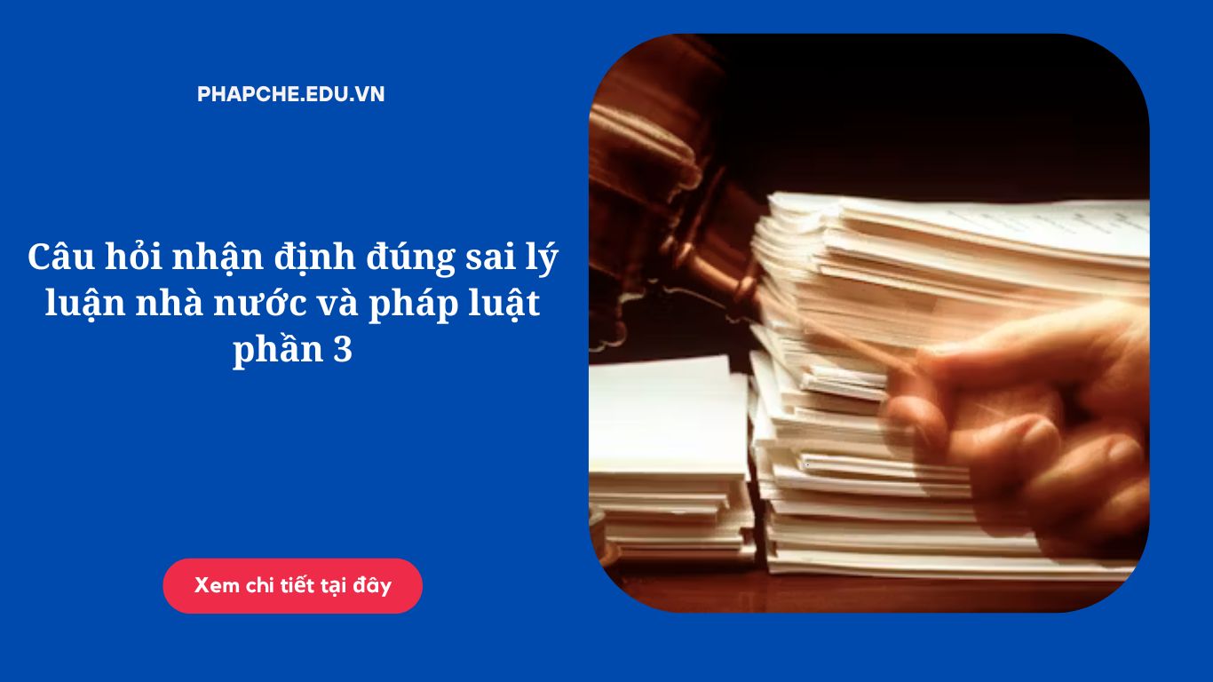 Câu hỏi nhận định đúng sai lý luận nhà nước và pháp luật phần 3