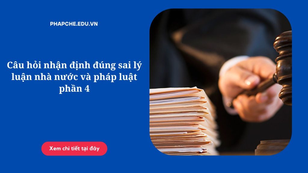 Câu hỏi nhận định đúng sai lý luận nhà nước và pháp luật phần 4