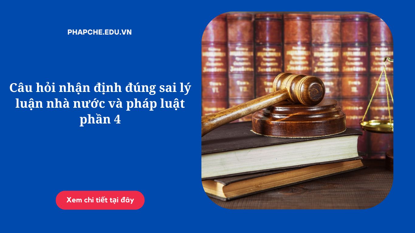 Câu hỏi nhận định đúng sai lý luận nhà nước và pháp luật phần 4