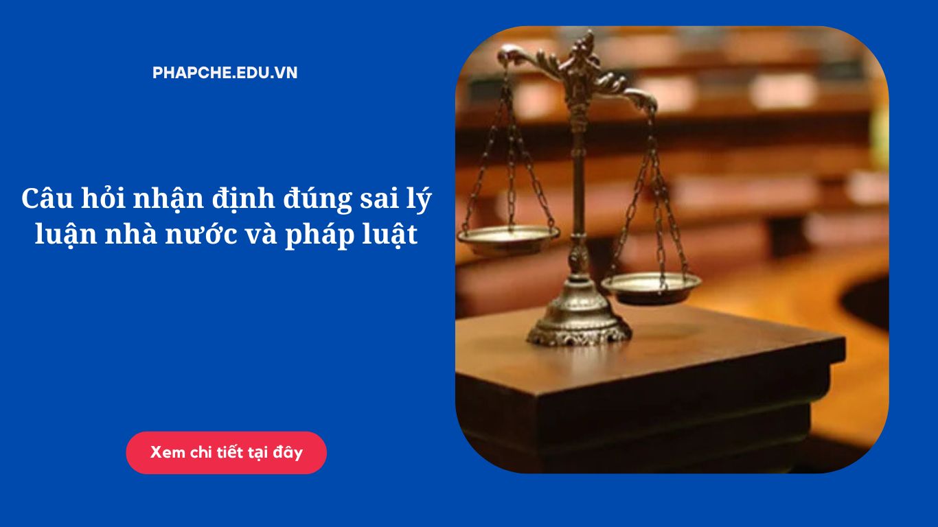 Câu hỏi nhận định đúng sai lý luận nhà nước và pháp luật