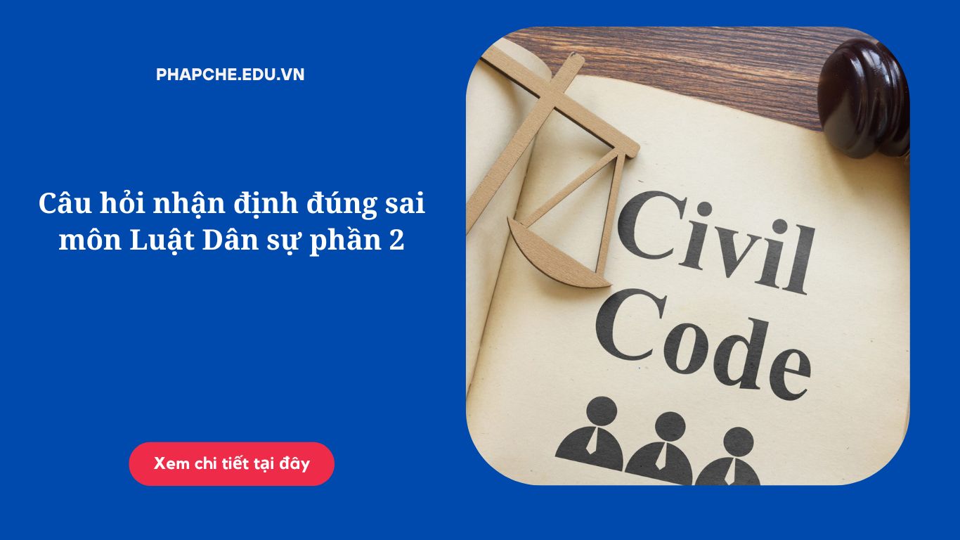 Câu hỏi nhận định đúng sai môn Luật Dân sự phần 2