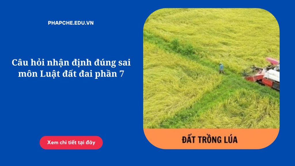 Câu hỏi nhận định đúng sai môn Luật đất đai phần 7